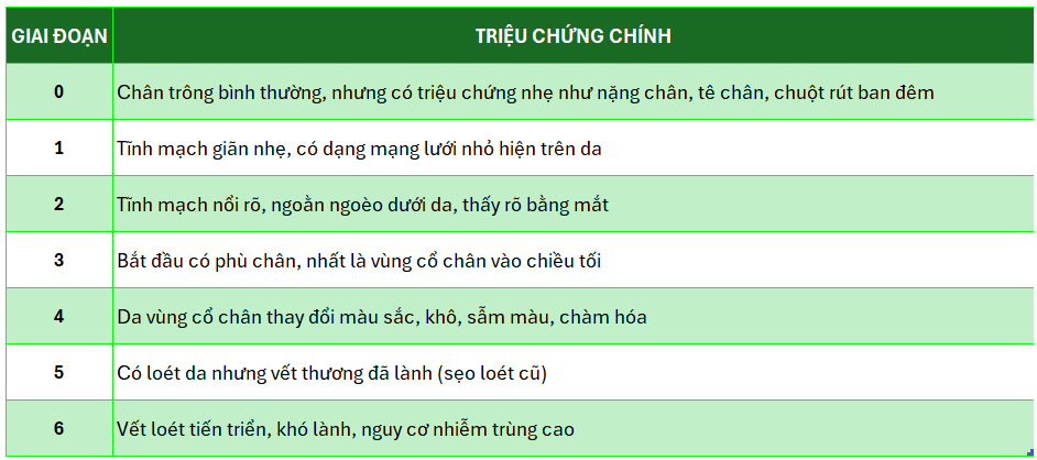 SUY GIÃN TĨNH MẠCH CHI DƯỚI CHIA THÀNH 7 GIAI ĐOẠN SUY GIÃN TĨNH MẠCH CHI DƯỚI CHIA THÀNH 7 GIAI ĐOẠN